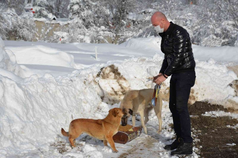 Bozüyük Belediyesi can dostlarını unutmadı