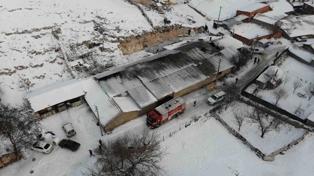 80 hayvanın telef olduğu ağıl gün ışığında görüntülendi