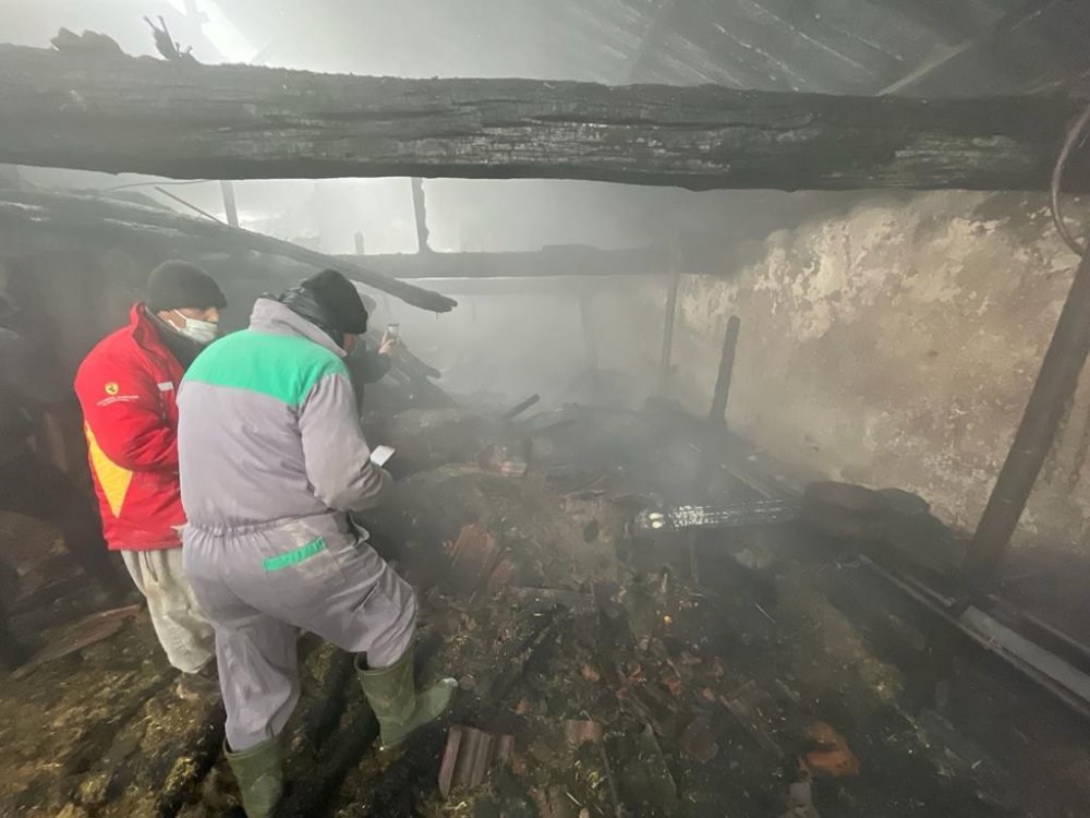 80 hayvanın telef olduğu ağıl gün ışığında görüntülendi