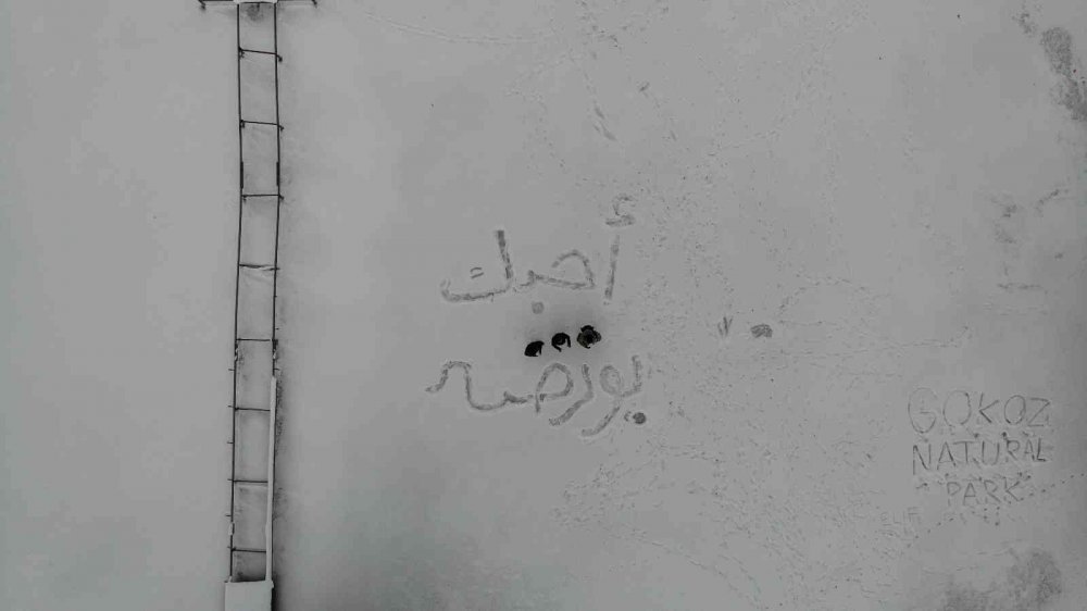 Doğa harikası gölet dondu