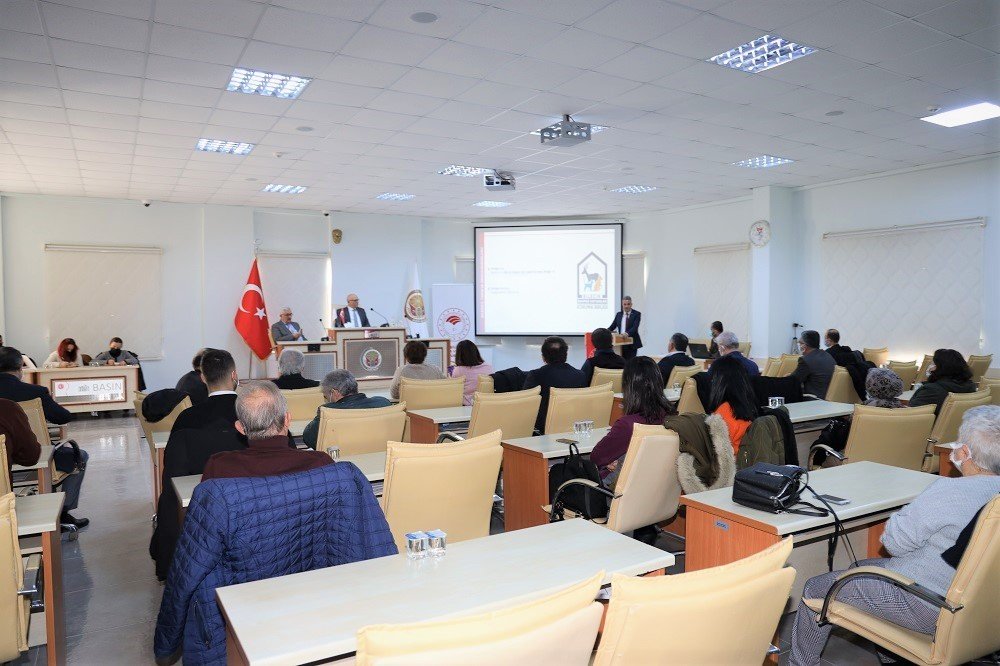 Sahipsiz hayvanlar için bakım evi kurulacak