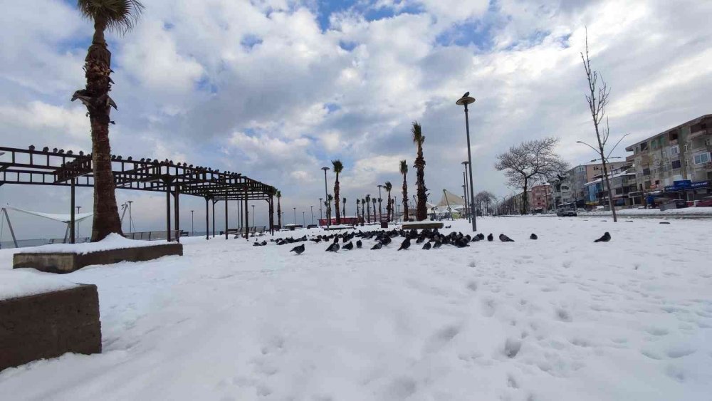 Sakarya’nın Karadeniz’e kıyısı beyaza büründü