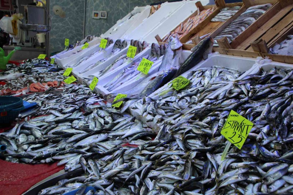 İstavrit bolluğu tezgahlara yansıdı