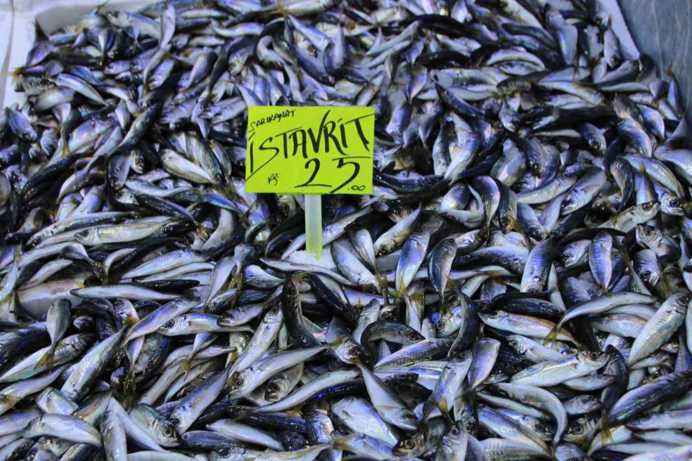 İstavrit bolluğu tezgahlara yansıdı