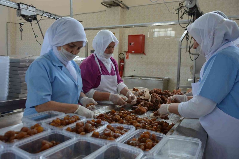 Kestane şekeri ihracatı artıyor