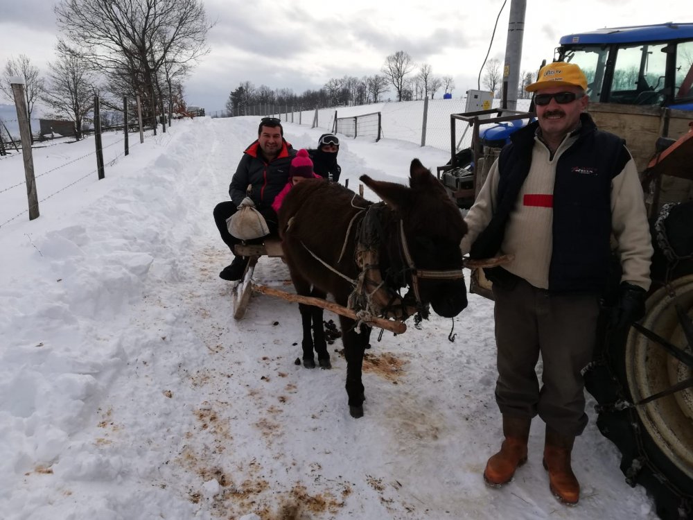 Sarıdayı Köyü'nde kızak şenliği
