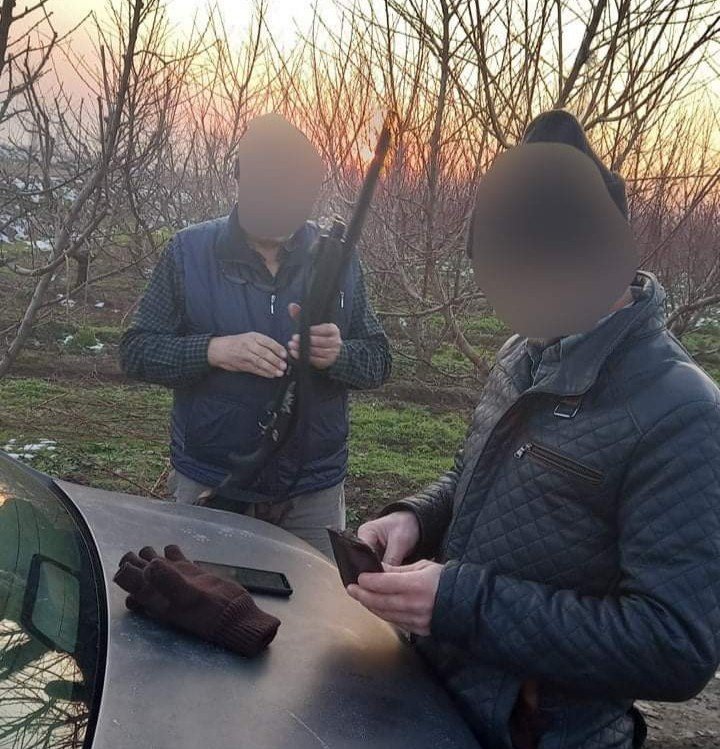 Yaban hayvanı vurdular, 11 bin lira tazminat ödediler