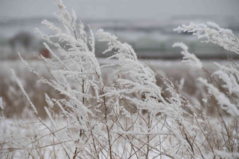 Eskişehir kırsalı adeta buz kesti