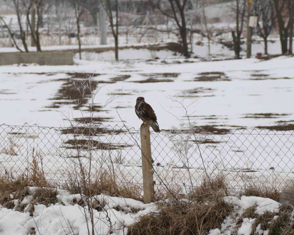 Eskişehir kırsalı adeta buz kesti