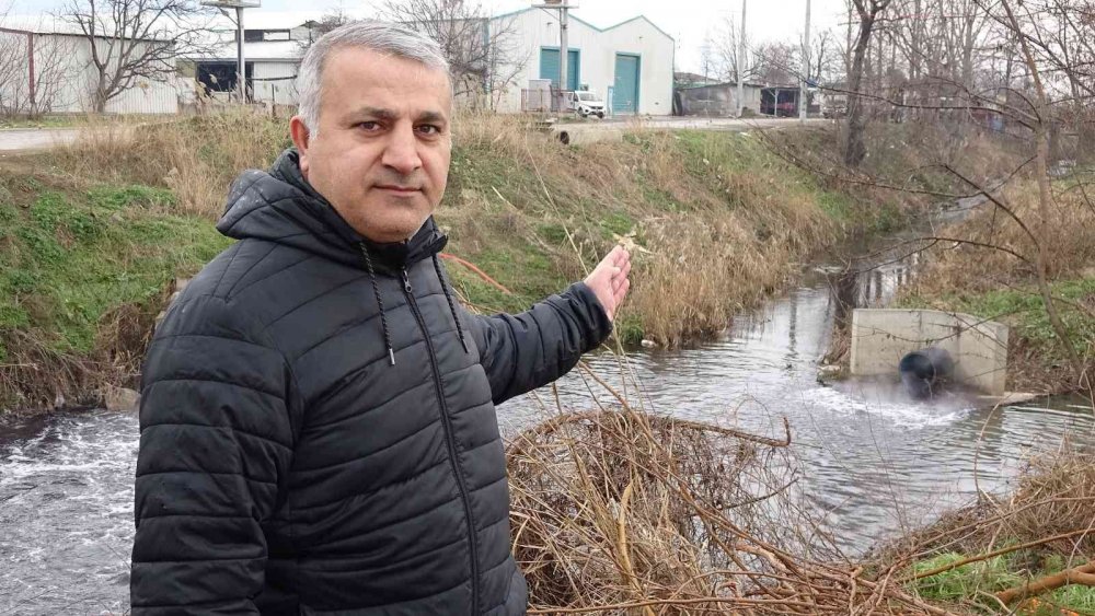 Bursa’da dereler zehir akıyor, bu yıl da müsilaj tehdidi kapıda