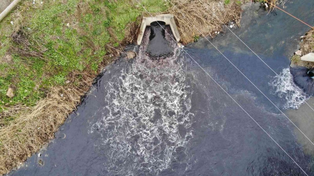 Bursa’da dereler zehir akıyor, bu yıl da müsilaj tehdidi kapıda
