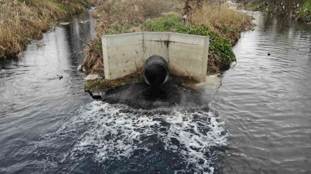Bursa’da dereler zehir akıyor, bu yıl da müsilaj tehdidi kapıda