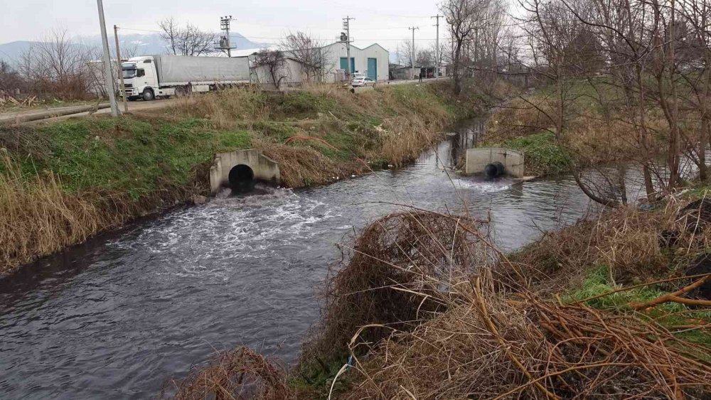 Bursa’da dereler zehir akıyor, bu yıl da müsilaj tehdidi kapıda