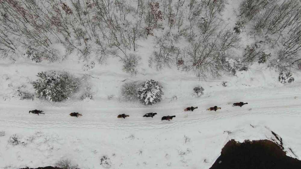 Karlar üstünde dört nala özgürlük