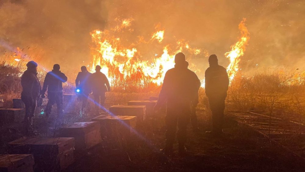 Otluk alanda yangın çıktı