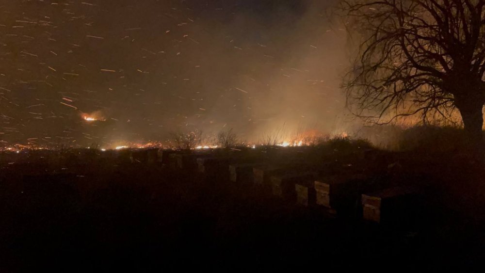 Otluk alanda yangın çıktı