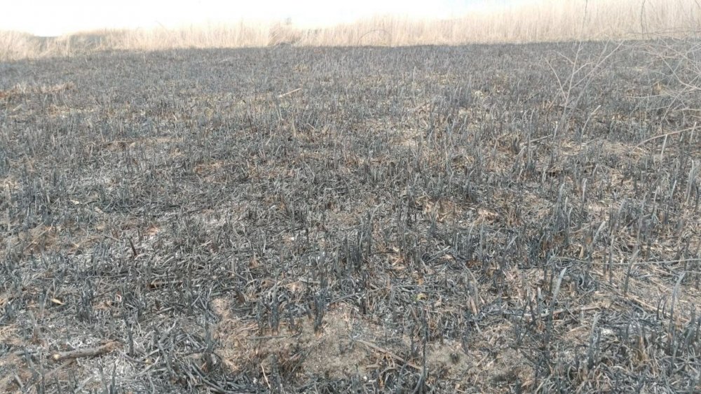 Otluk alanda çıkan yangının izleri gün ağarınca ortaya çıktı