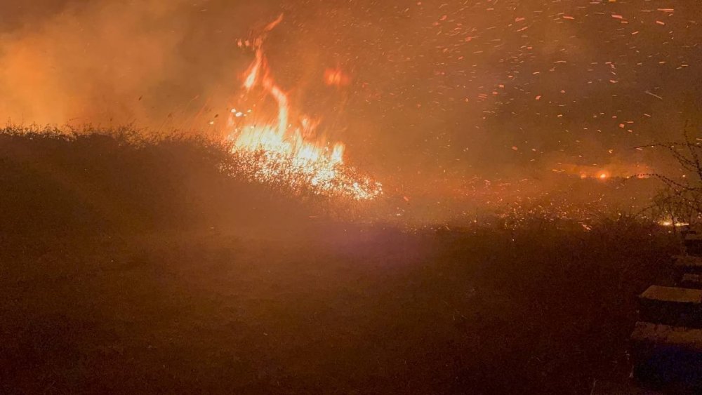 Otluk alanda çıkan yangının izleri gün ağarınca ortaya çıktı