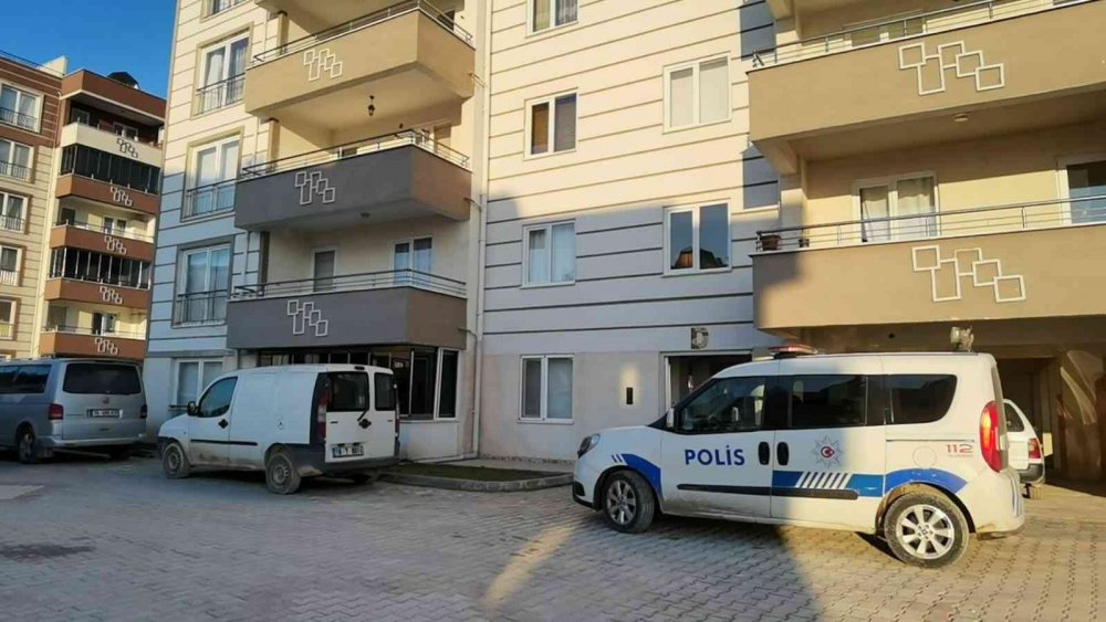 Cinnet getiren damat dehşet saçtı