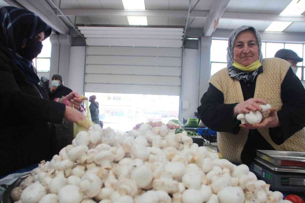 Mantarlar kapış kapış satılıyor