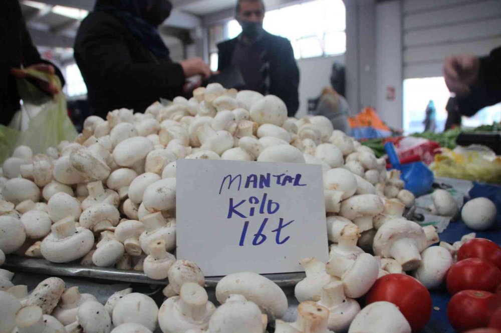 Mantarlar kapış kapış satılıyor