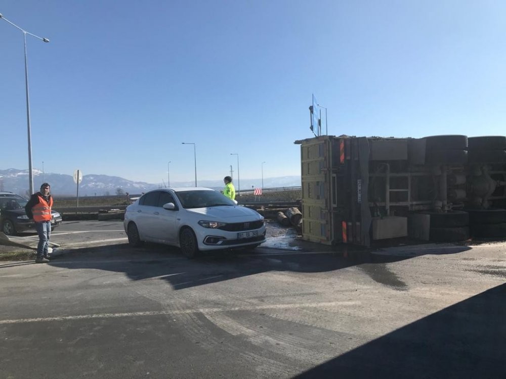 Kontrolden çıkan kamyon devrildi, taşıdığı tomruklar yola savruldu