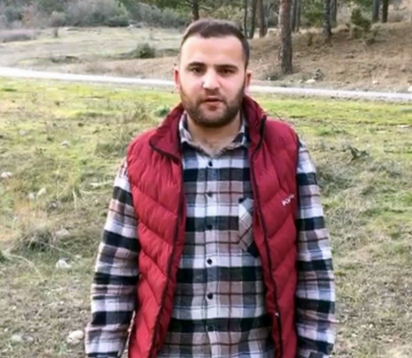 Sokak köpekleri koyunlara saldırdı: 7 koyun telef oldu