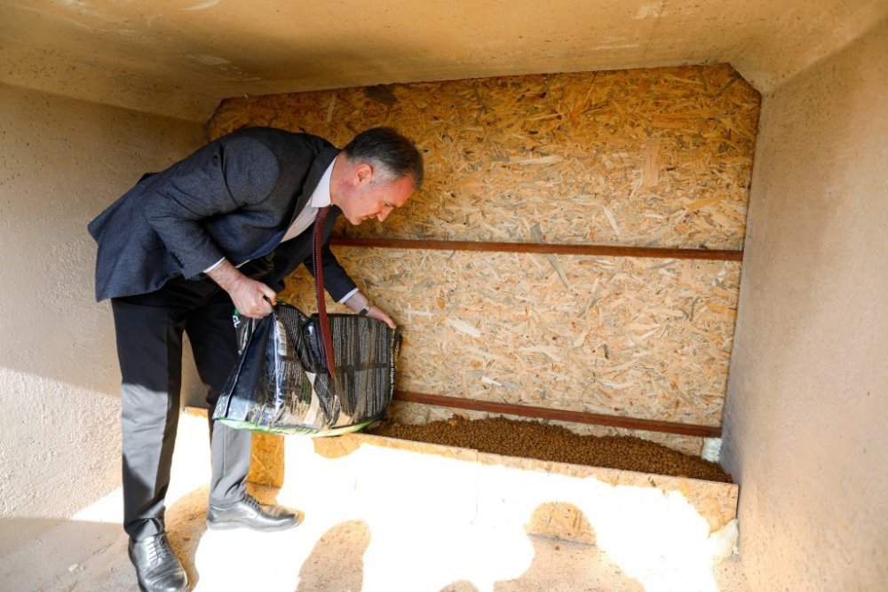 Can dostları için yeni beslenme noktaları oluşturuluyor