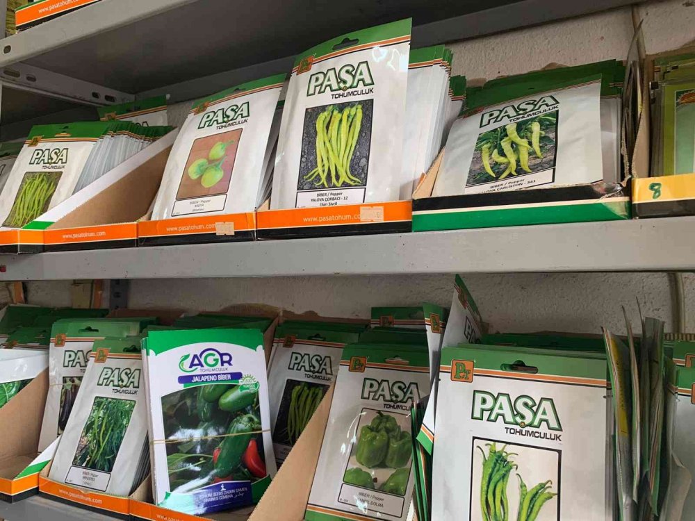 Bu sene yağışın fazla olması tohum satışlarını patlattı