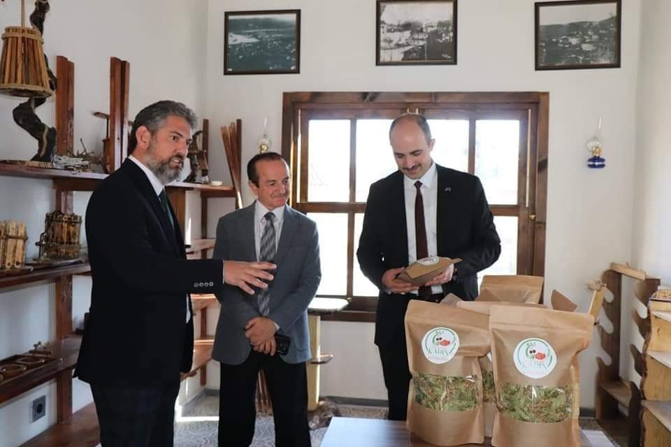 Kiraz diyarı Gölpazarı, turizm merkezi olacak