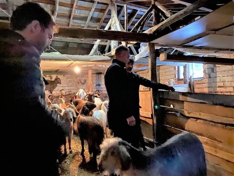 Küçükbaş hayvan işletmesinde destekler anlatıldı