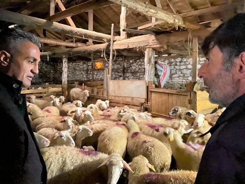 Küçükbaş hayvan işletmesinde destekler anlatıldı