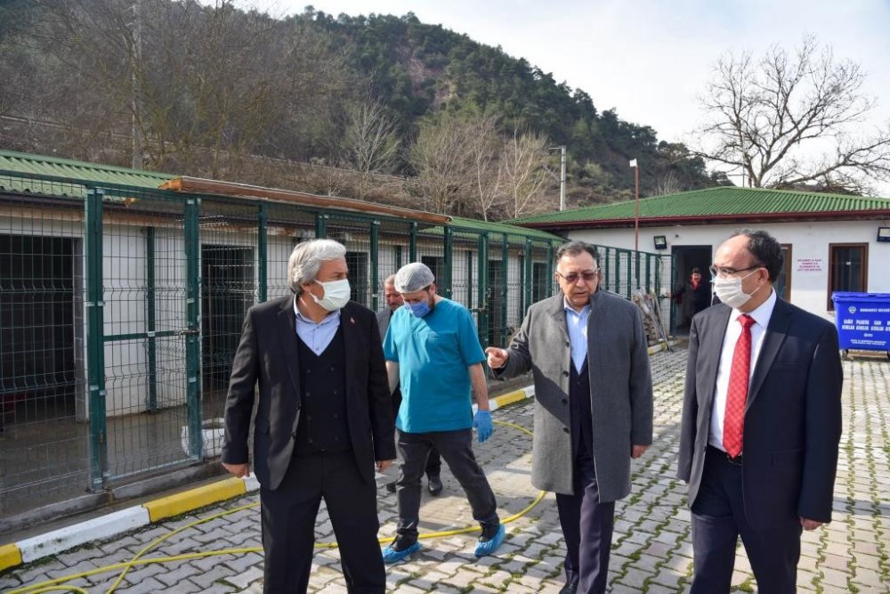 Örnek projeler hayata geçiriliyor