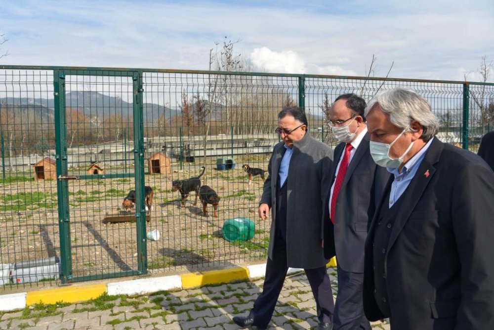 Örnek projeler hayata geçiriliyor