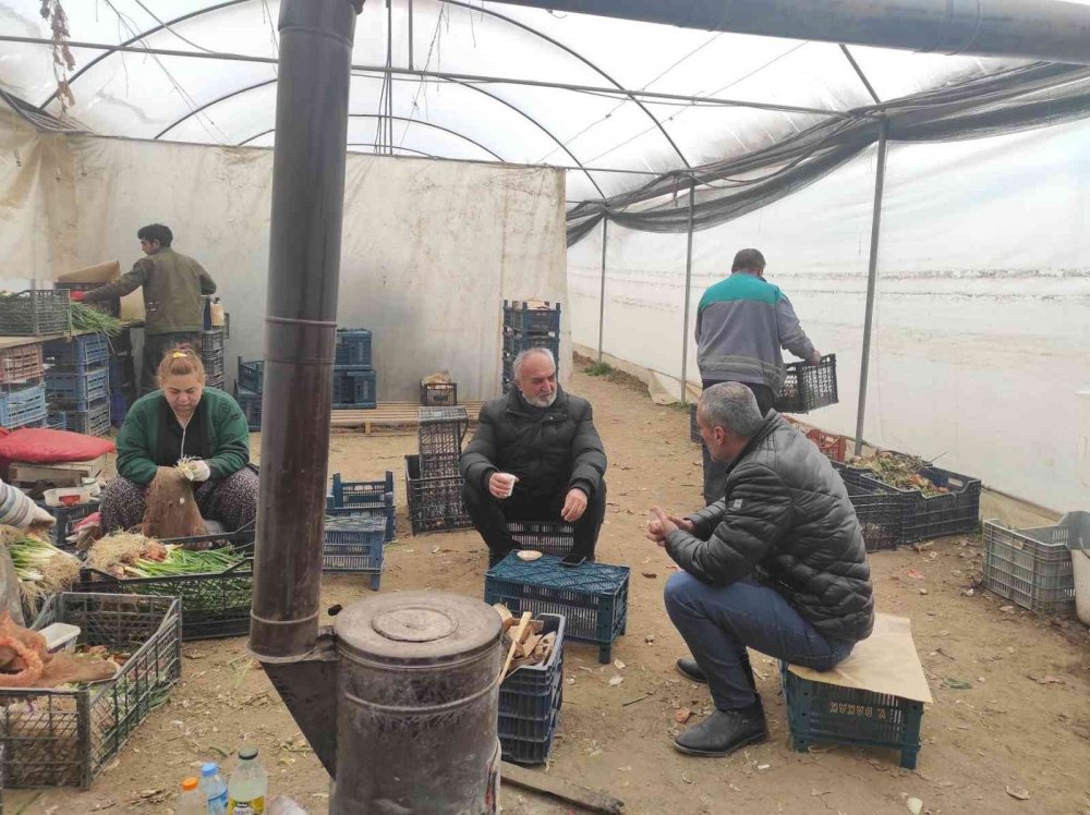 Başkan Kepez, serada üreticileri ziyaret etti