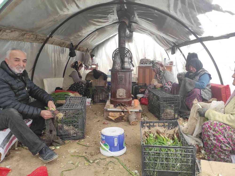 Başkan Kepez, serada üreticileri ziyaret etti