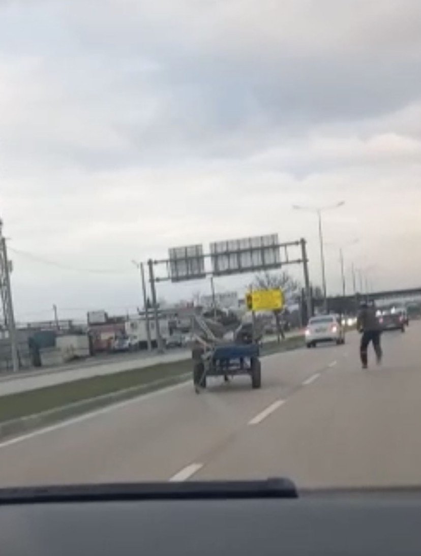 Sürücüsüz at arabası trafiği birbirine kattı