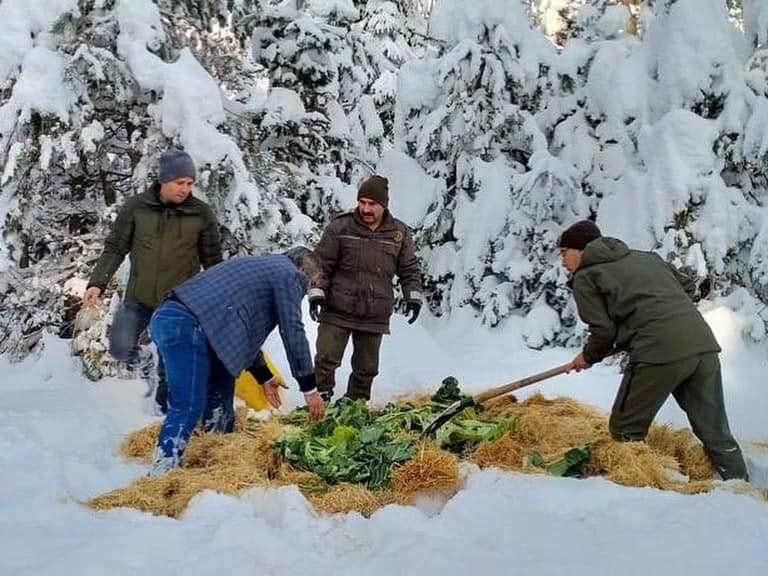 Sokak hayvanları için mama ve yem bırakıldı