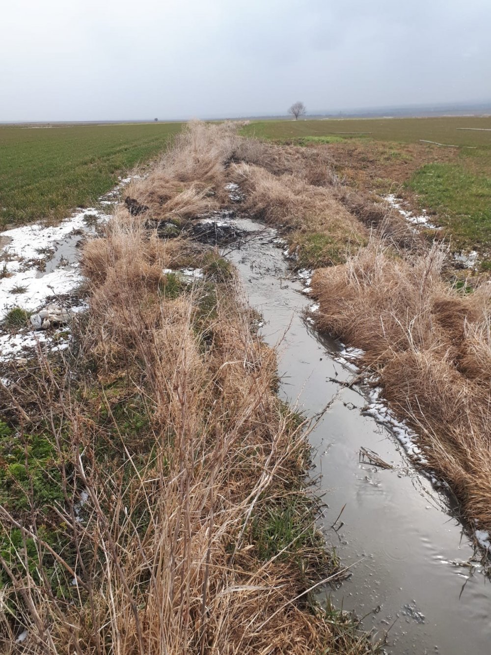 Sekiz yıldır tarlasından mahsul alamıyor