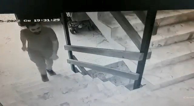 Kameralara aldırmadan televizyonu böyle çaldı