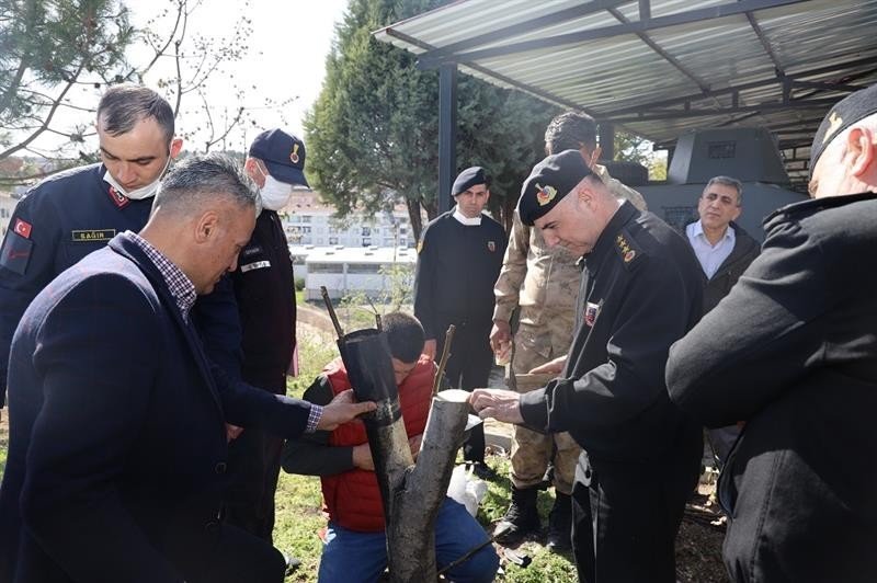 Budama ve aşılama eğitimi verildi