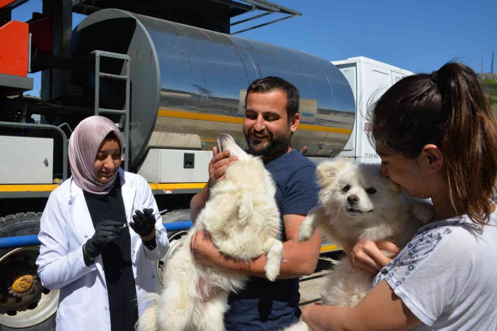 Bozüyük’te ücretsiz kuduz aşısı kampanyası