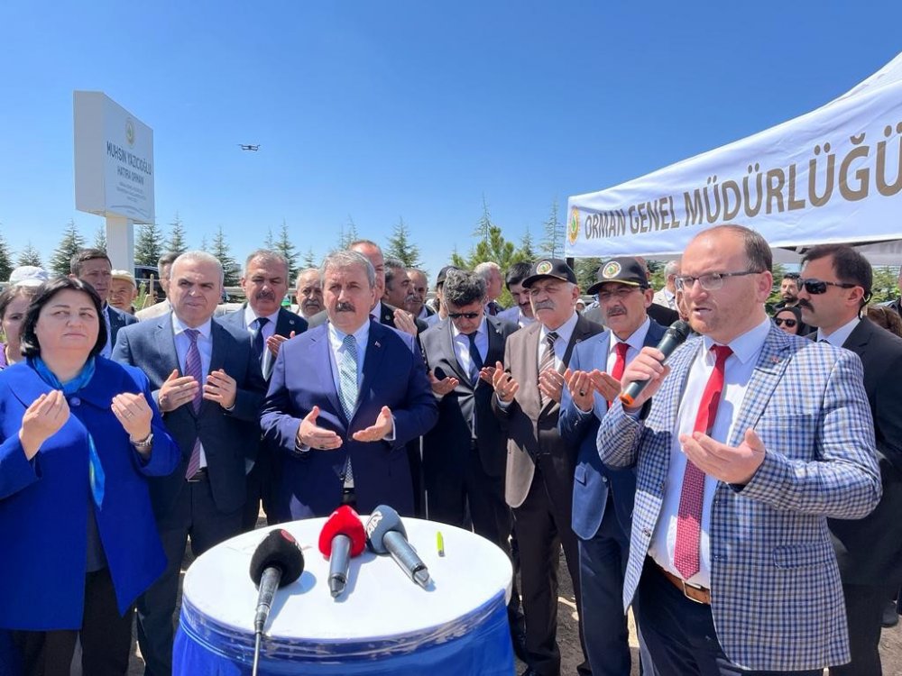 Muhsin Yazıcıoğlu Hatıra Ormanı’na bin sedir ve karaçam fidanı dikildi