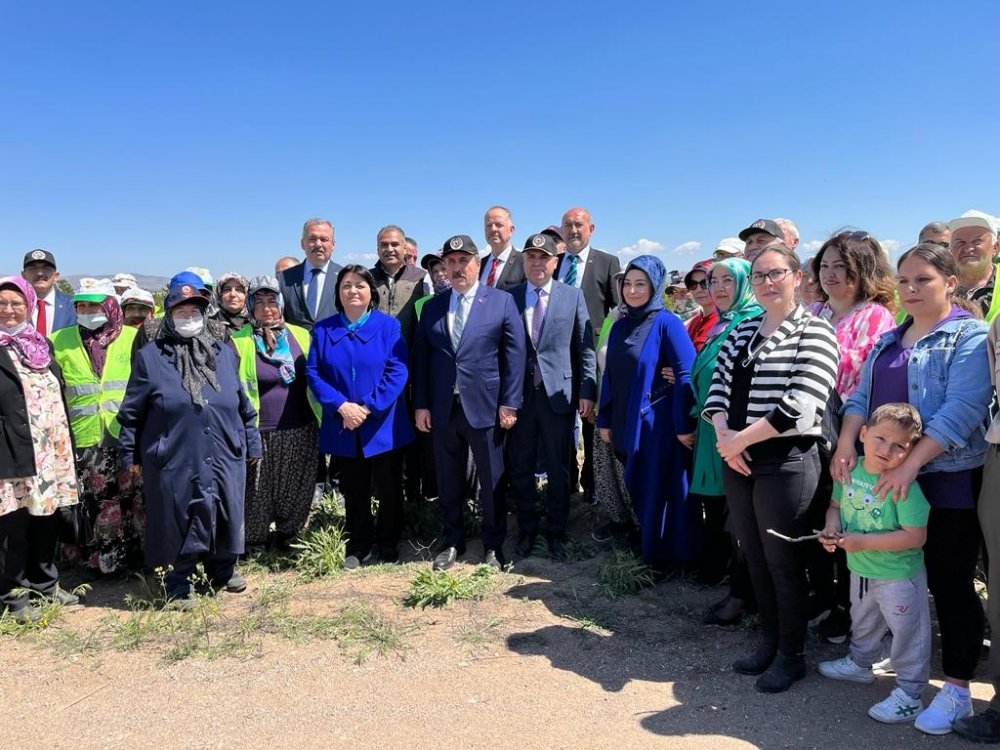 Muhsin Yazıcıoğlu Hatıra Ormanı’na bin sedir ve karaçam fidanı dikildi