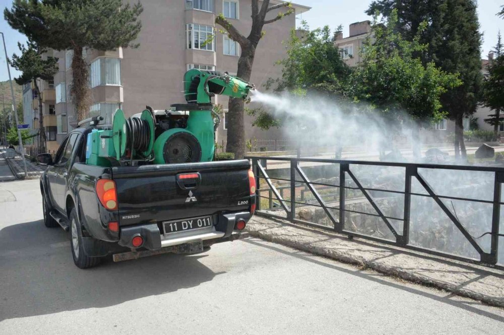 Bozüyük Belediyesi’nden haşere mücadelesi