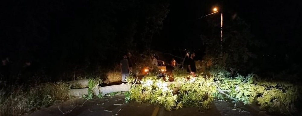 Şiddetli rüzgar ağaçları devirdi, kapanan yollar ekipler sayesinde açıldı