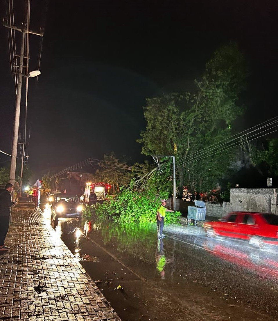 Şiddetli rüzgar ağaçları devirdi, kapanan yollar ekipler sayesinde açıldı