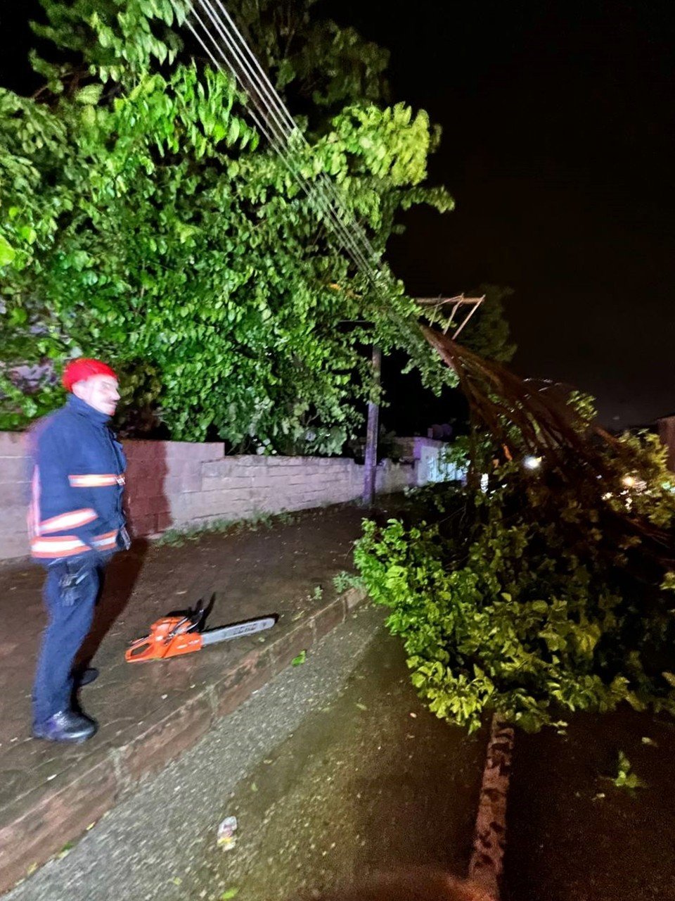 Şiddetli rüzgar ağaçları devirdi, kapanan yollar ekipler sayesinde açıldı