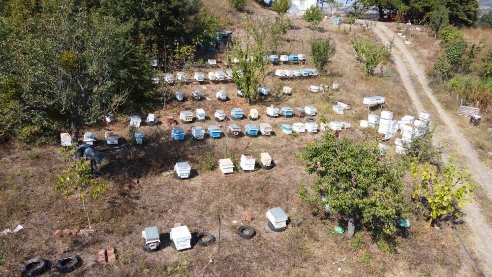 Türkiye’nin ilk ’Arı Borsası’