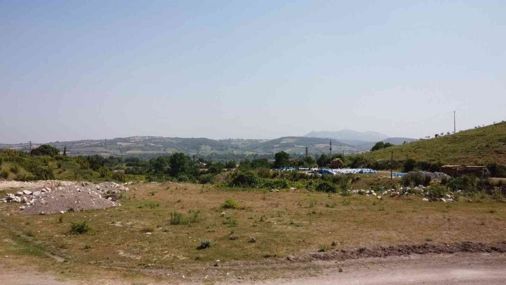 Türkiye’nin ilk ’Arı Borsası’